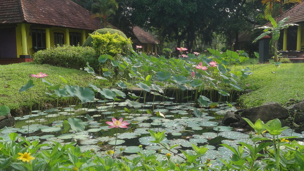 Taj Kumarakom Resort And Spa Kerala Exterior foto